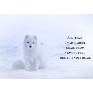 My Home is Smoke Free and Dog Friendly